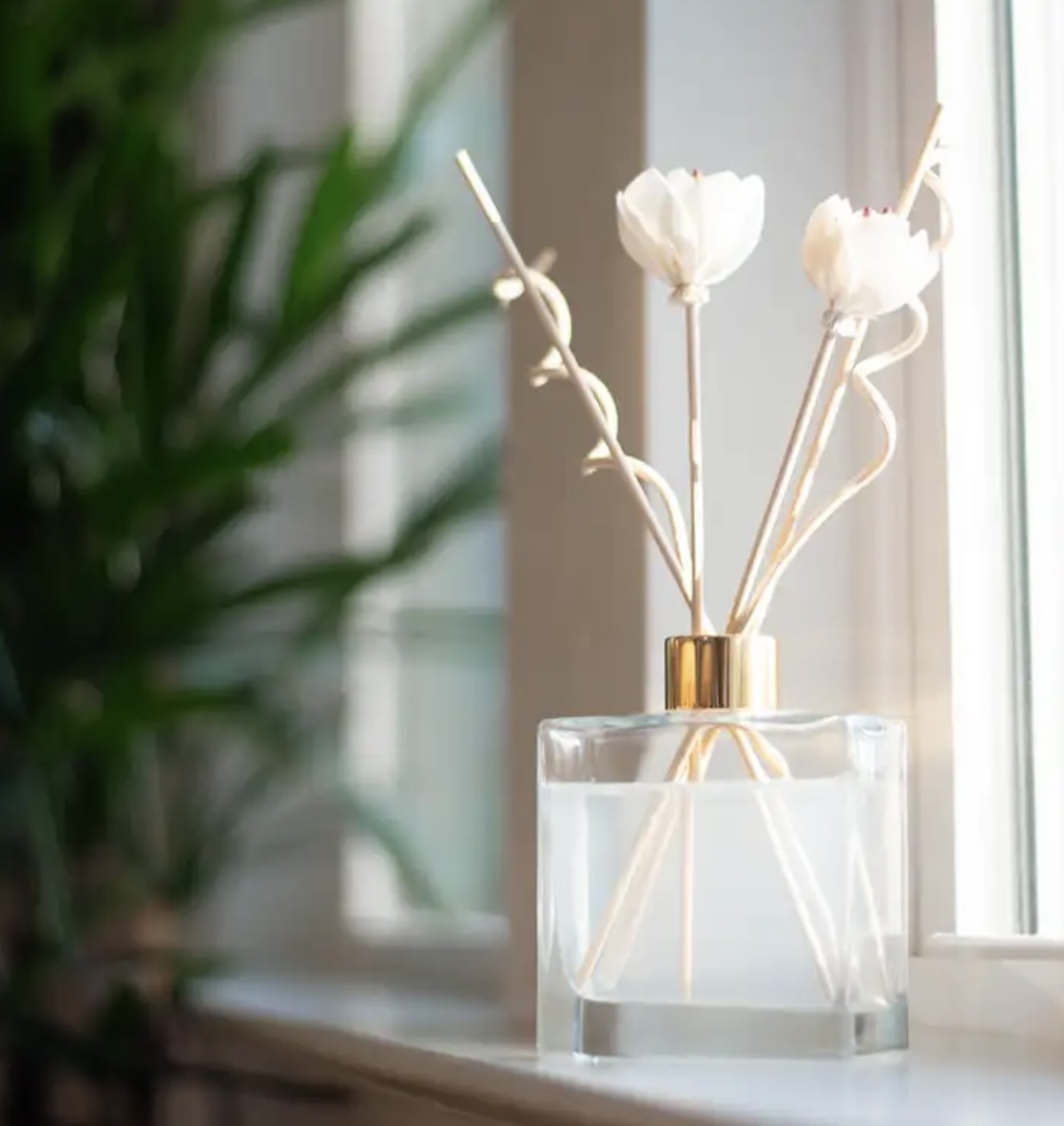 Luxury reed diffusers