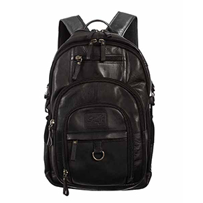 Leather Backpack