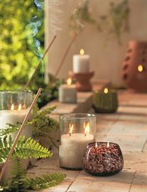 Citronella