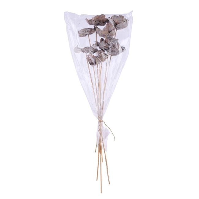 Meticulously preserved to maintain their organic shapes & earthy tones, these everlasting botanicals offer a low-maintenance, sophisticated alternative to fresh stems that will elevate your displays.