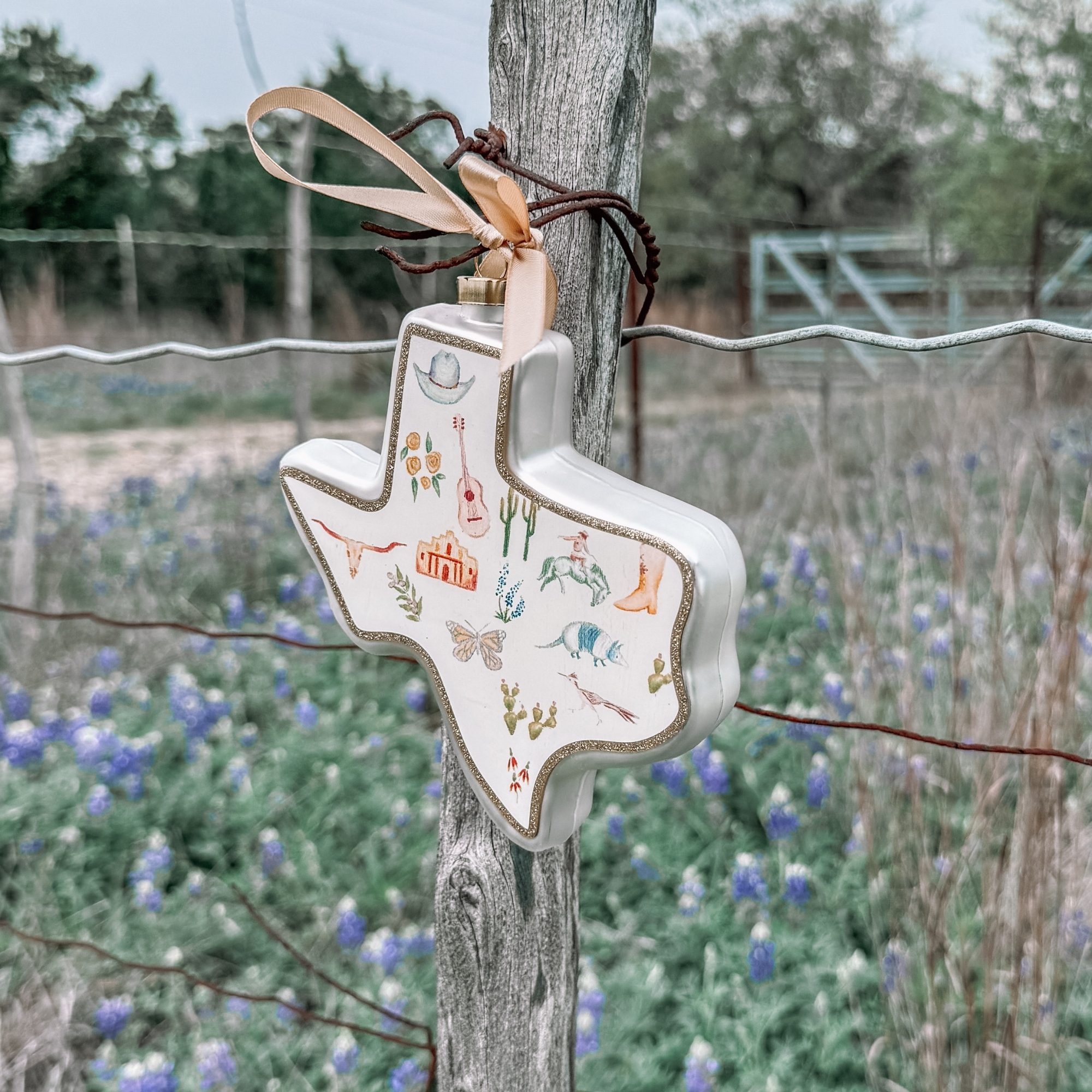 State of Texas Ornament shot on a barbed wire fence with bluebonnet in the back