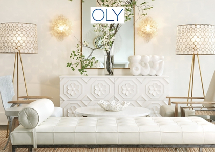 Unique Transitional Furniture