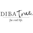 DIBA True  logo