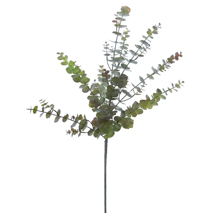 Eucalyptus Spray