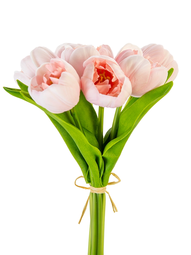 7 Tulip Stems