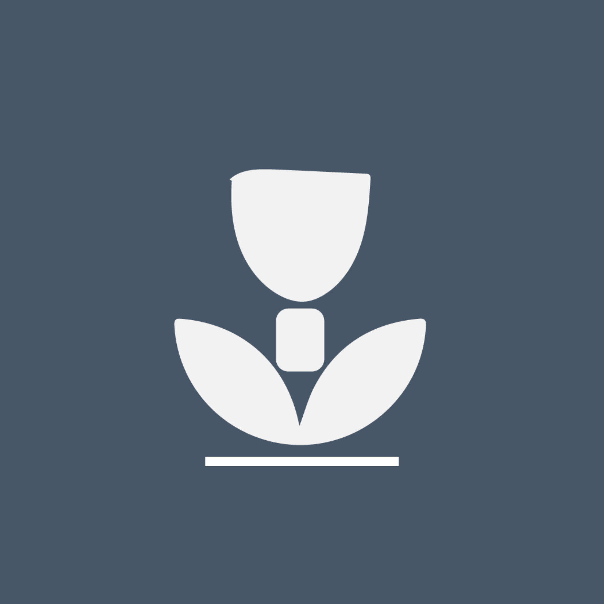 Playcor logo
