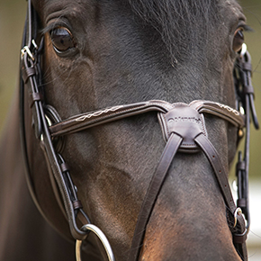 Menetics Figure-8 Fancy Stitch Bridle on model