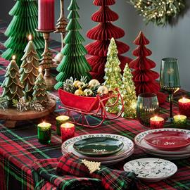 Home for the Holidays