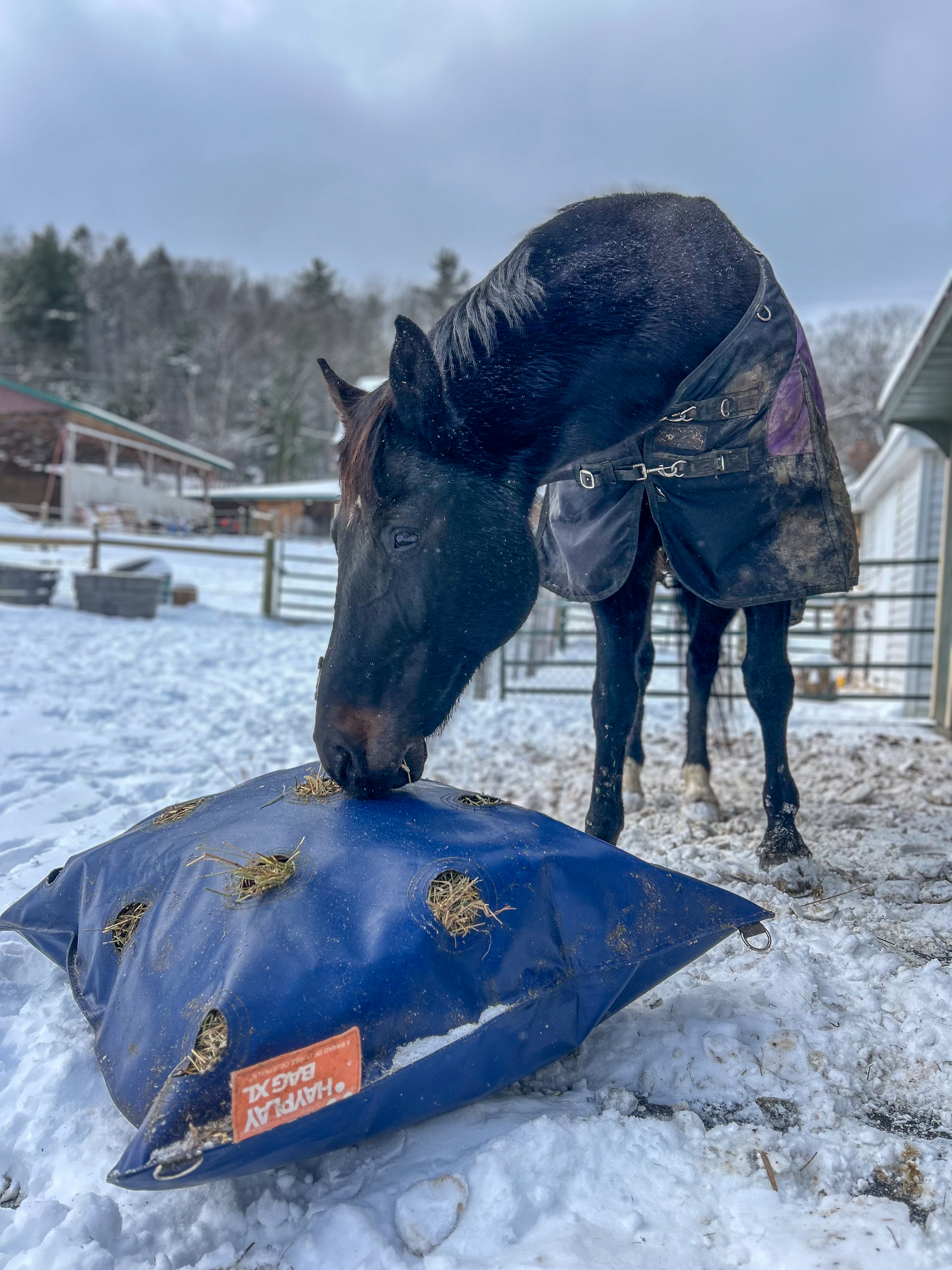 Horse Hay Net Bag XL