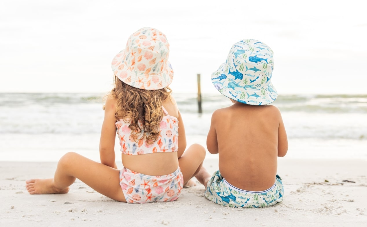 Shark Friends and Sandy Seashells