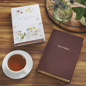 Bibles