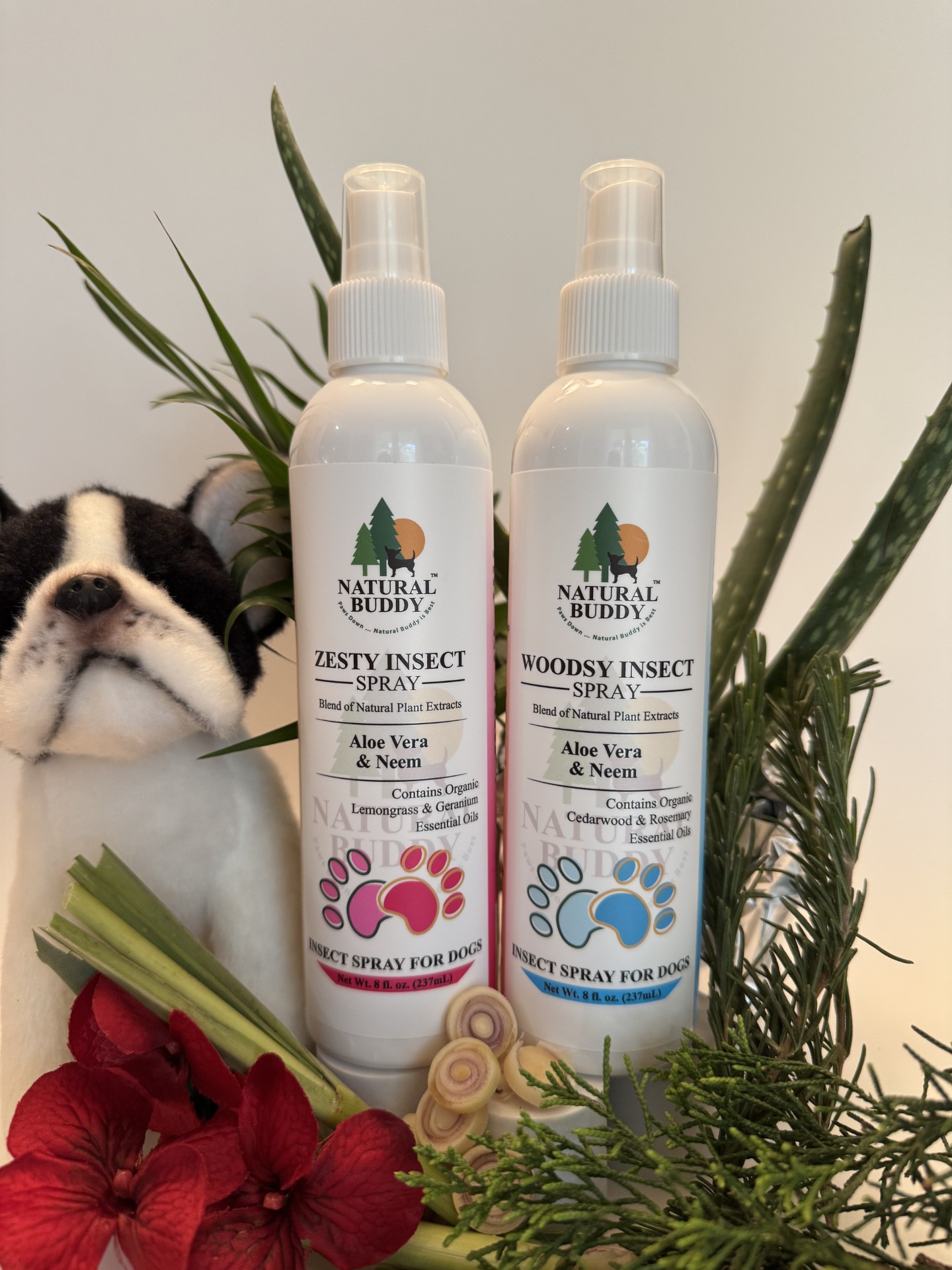 Wood/Herbal scent and Citrus/Floral scent