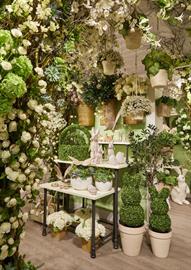 2025 Spring - Fresh Linen