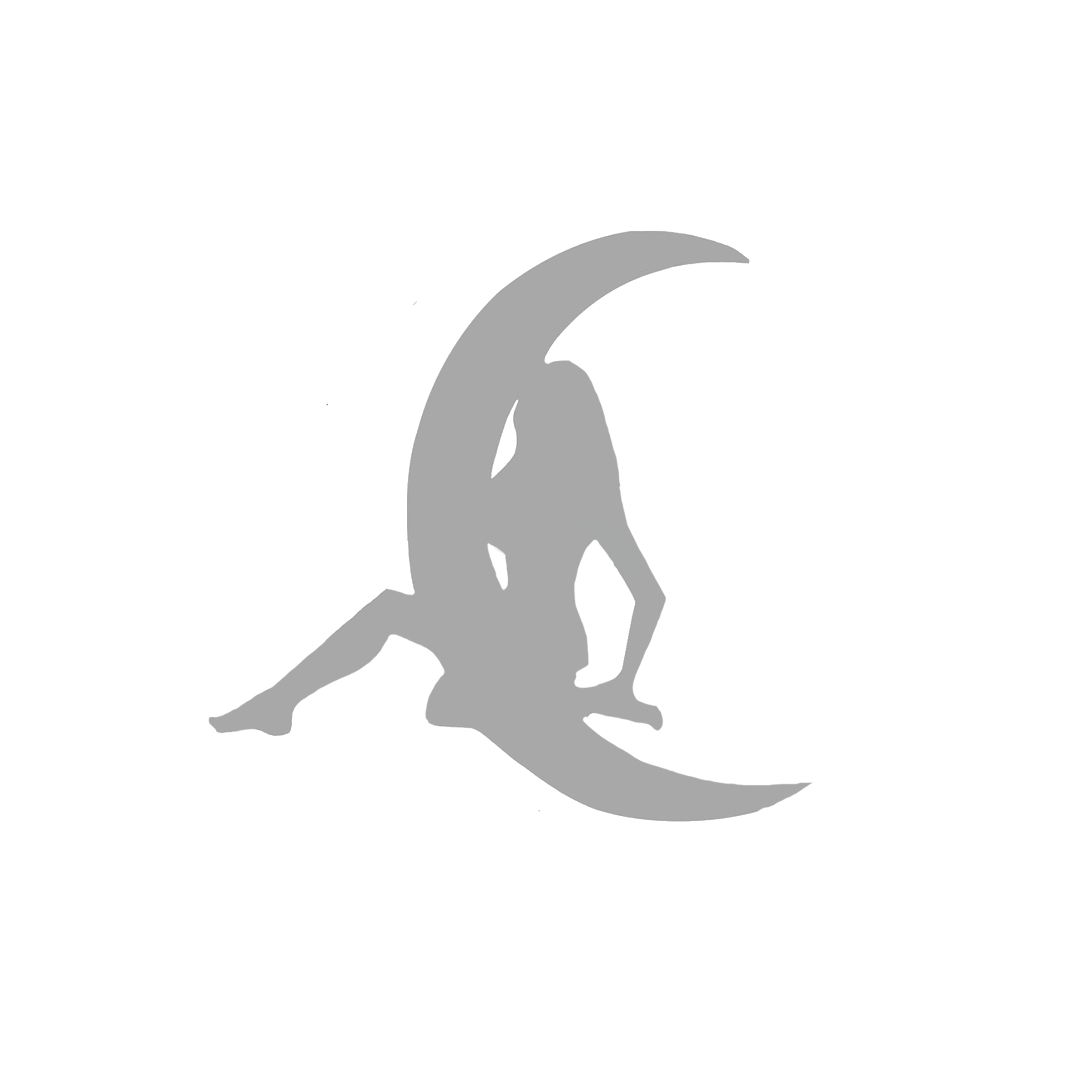 A Girl In logo