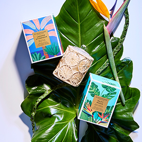 Glasshouse Fragrances is the Southern Hemisphere’s leading fragrance brand, crafting complex, layered perfumes in every form to move you beyond the moment. 