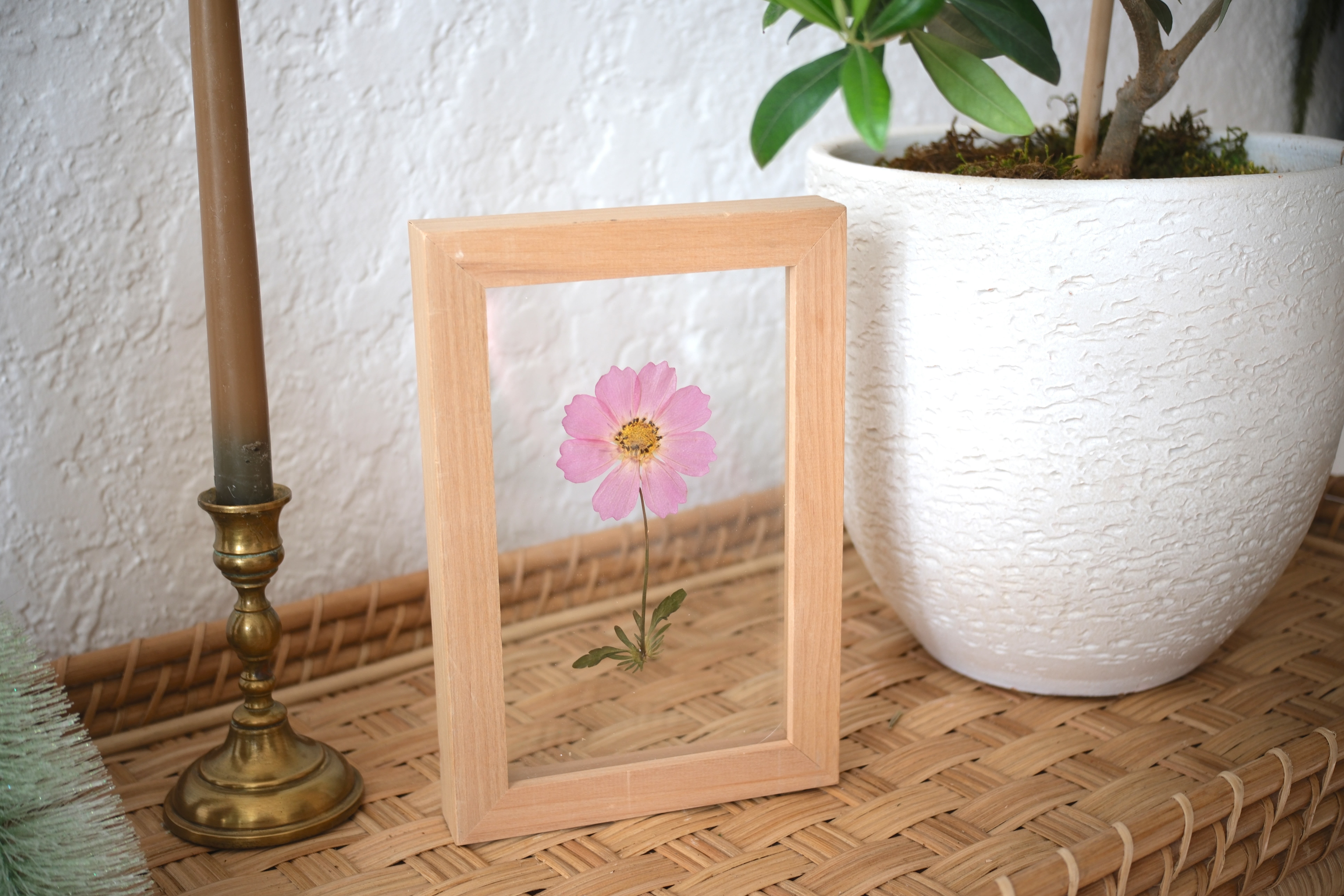 FL800B Pressed Flower Frame