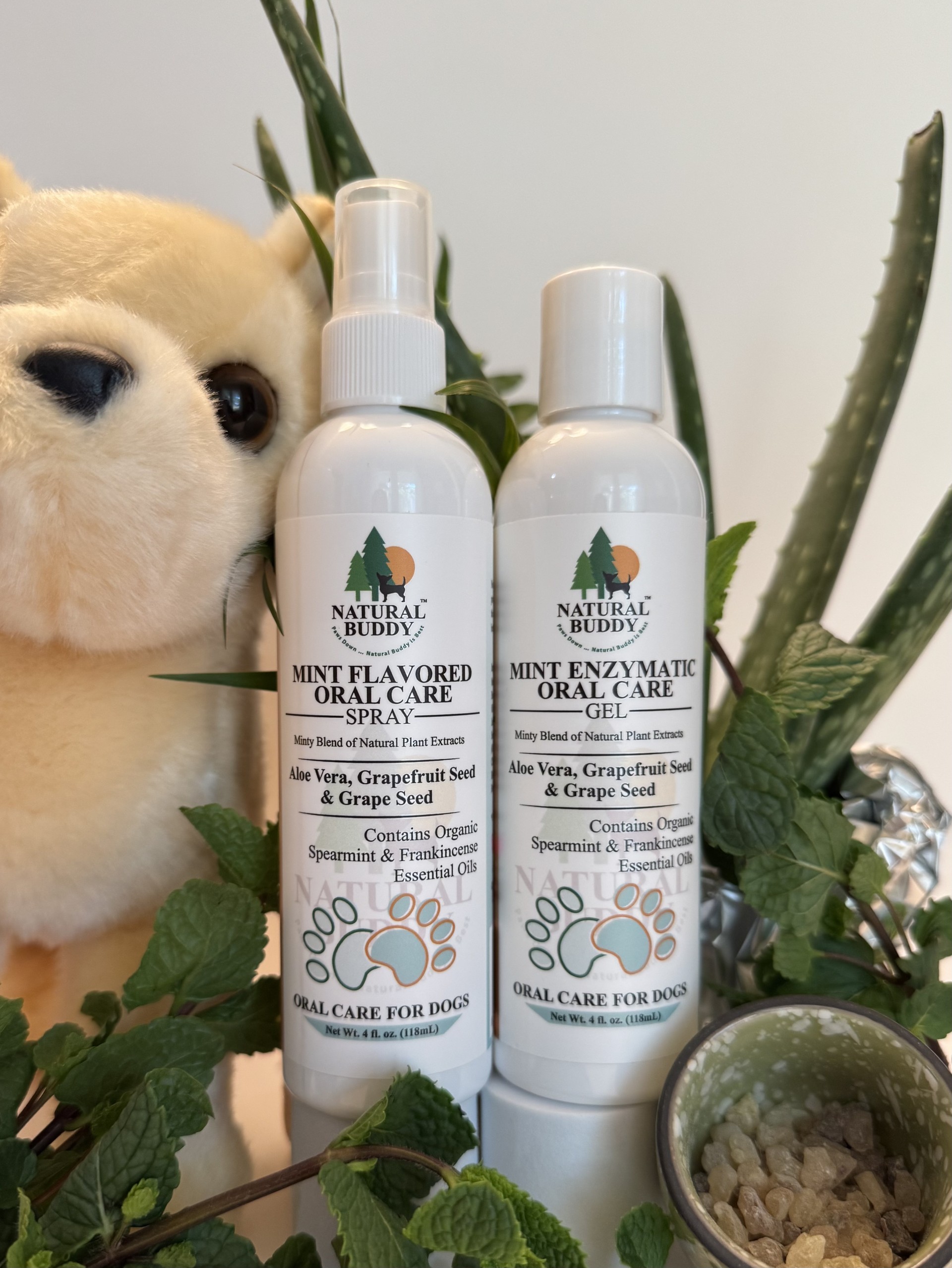 Enzymatic gel and breath freshening spray with mint scent