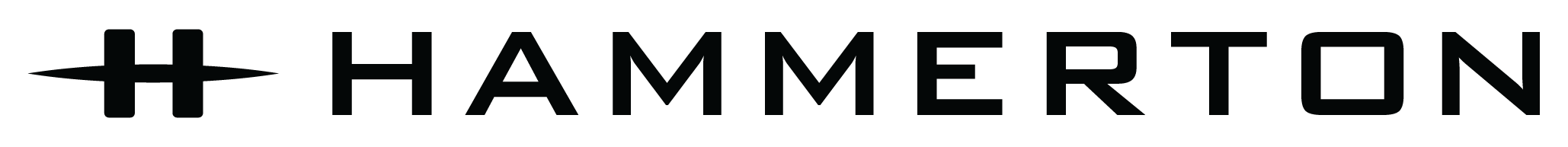 Hammerton logo