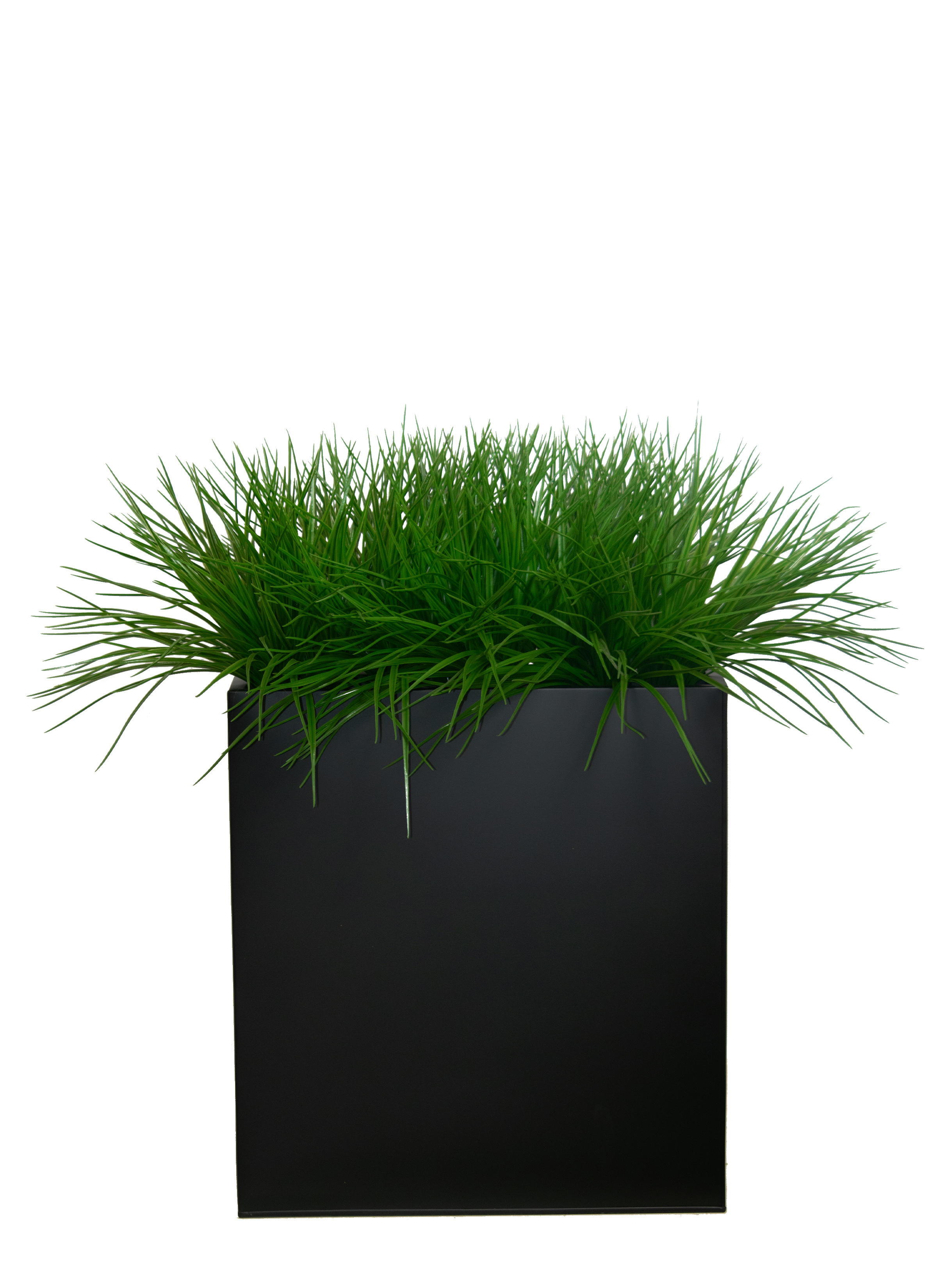 Long slim grass in a tall narrow tin container