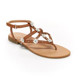 Cote Tan 