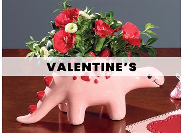 Valentine's Day