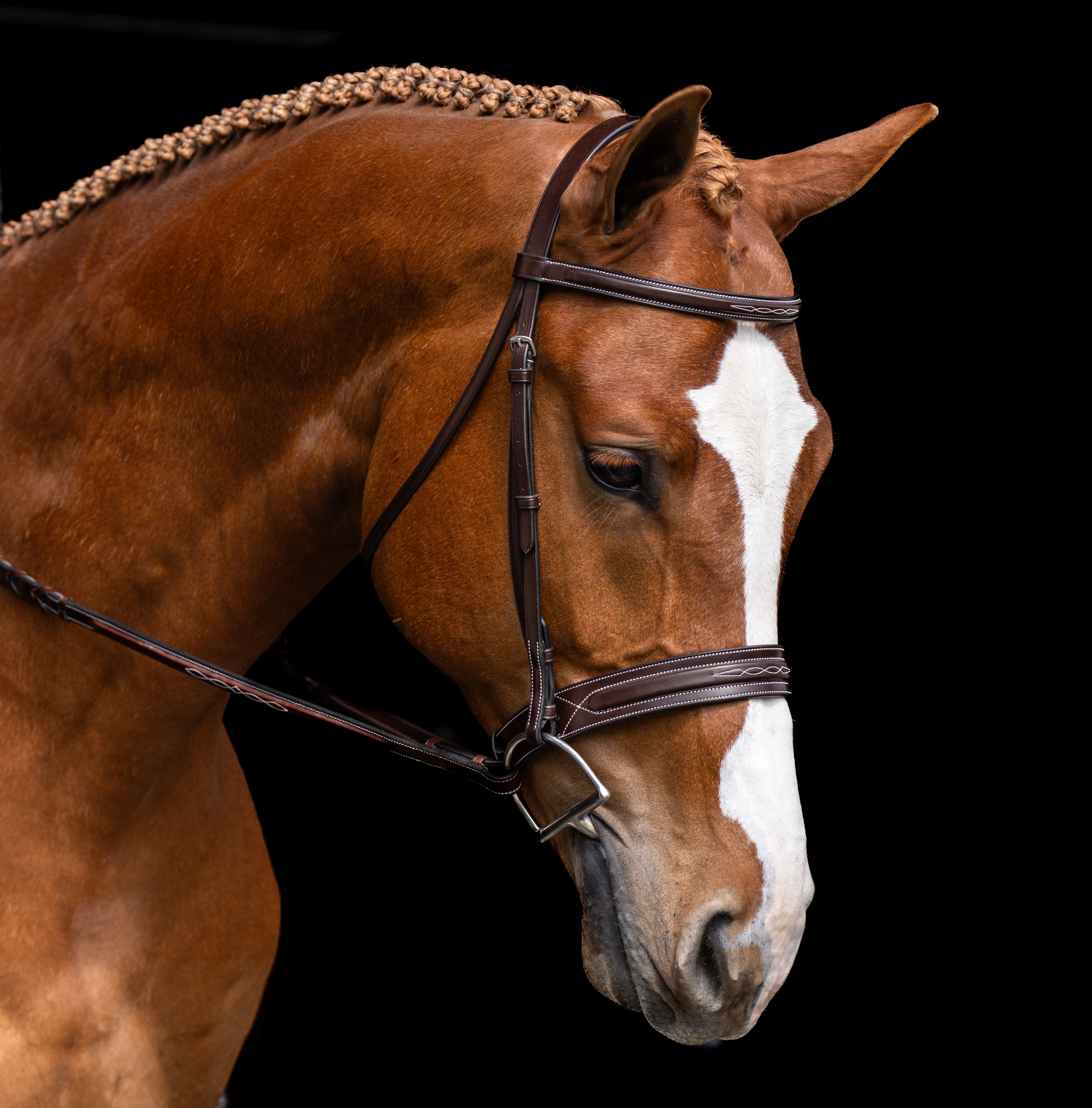 The most recent addition to our Red Barn Hunter Bridle collection.