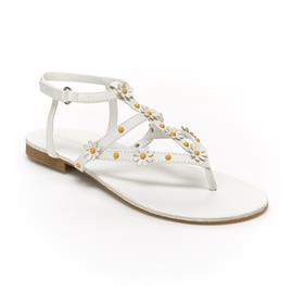 Cote White 