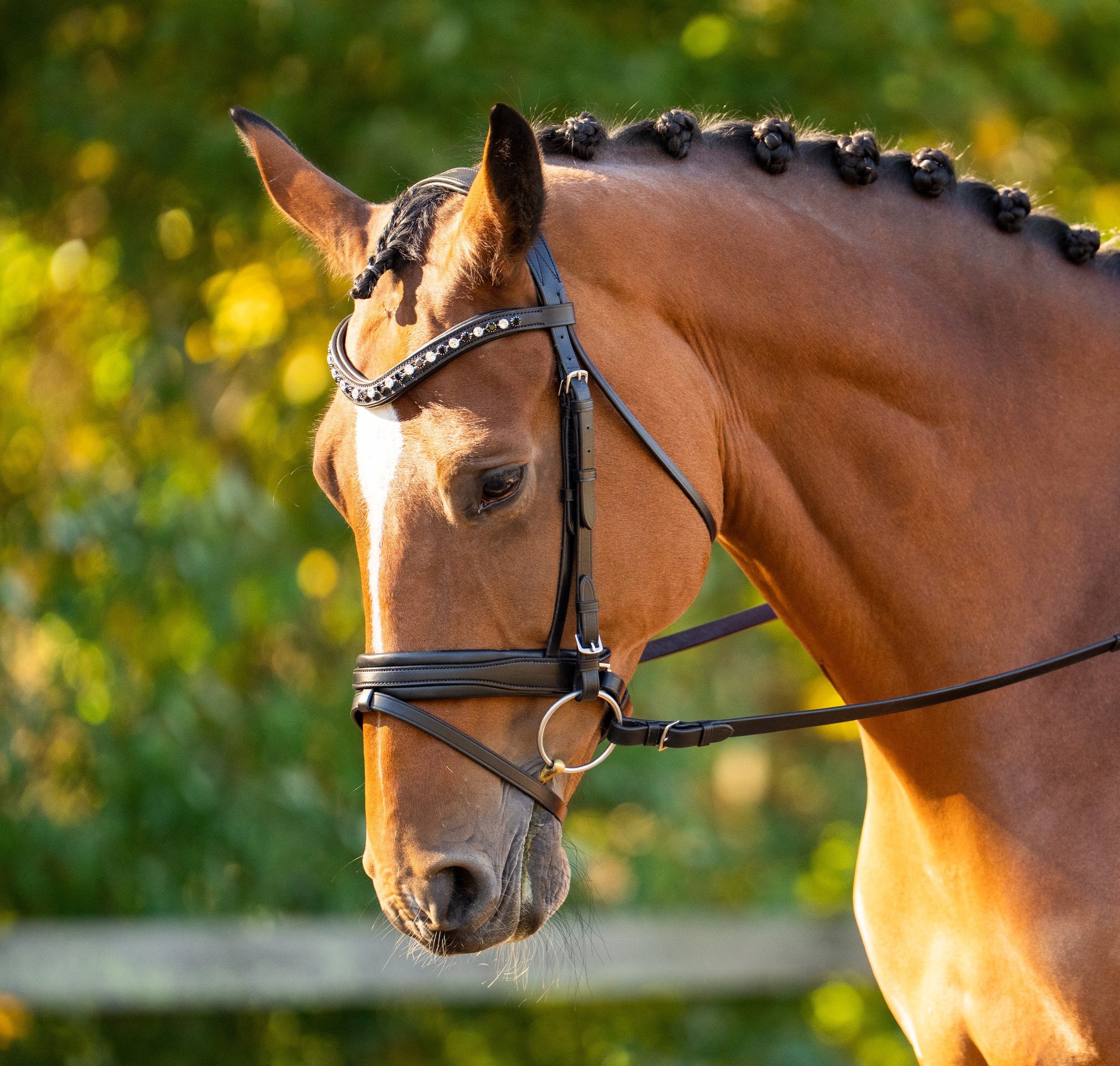 The Daphne is the newest addition to the Black Oak bridle collection.