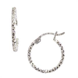 Small Ridge Earring