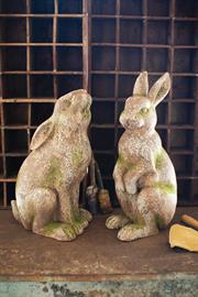 Garden Decor