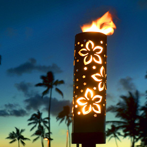 Focus Auto Ignite Torch