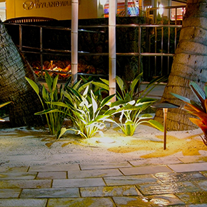 12V | 120V Area Lighting