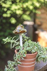 Wavy Bell Mushroom Plant Pick