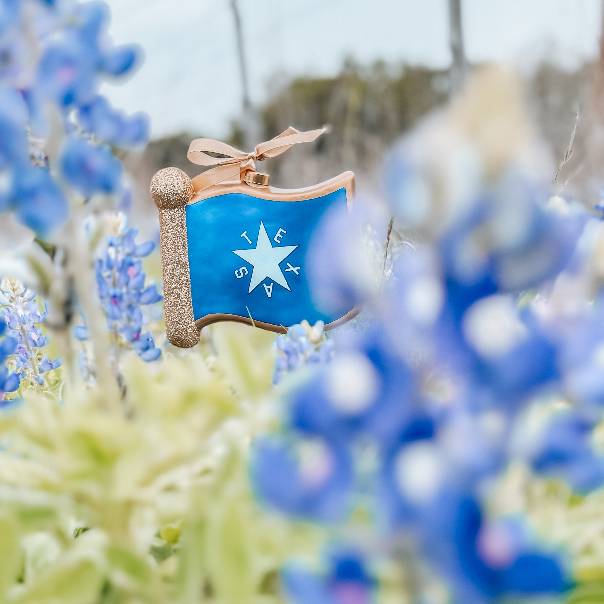 Republic of Texas Flag ornament shot in bluebonnets
