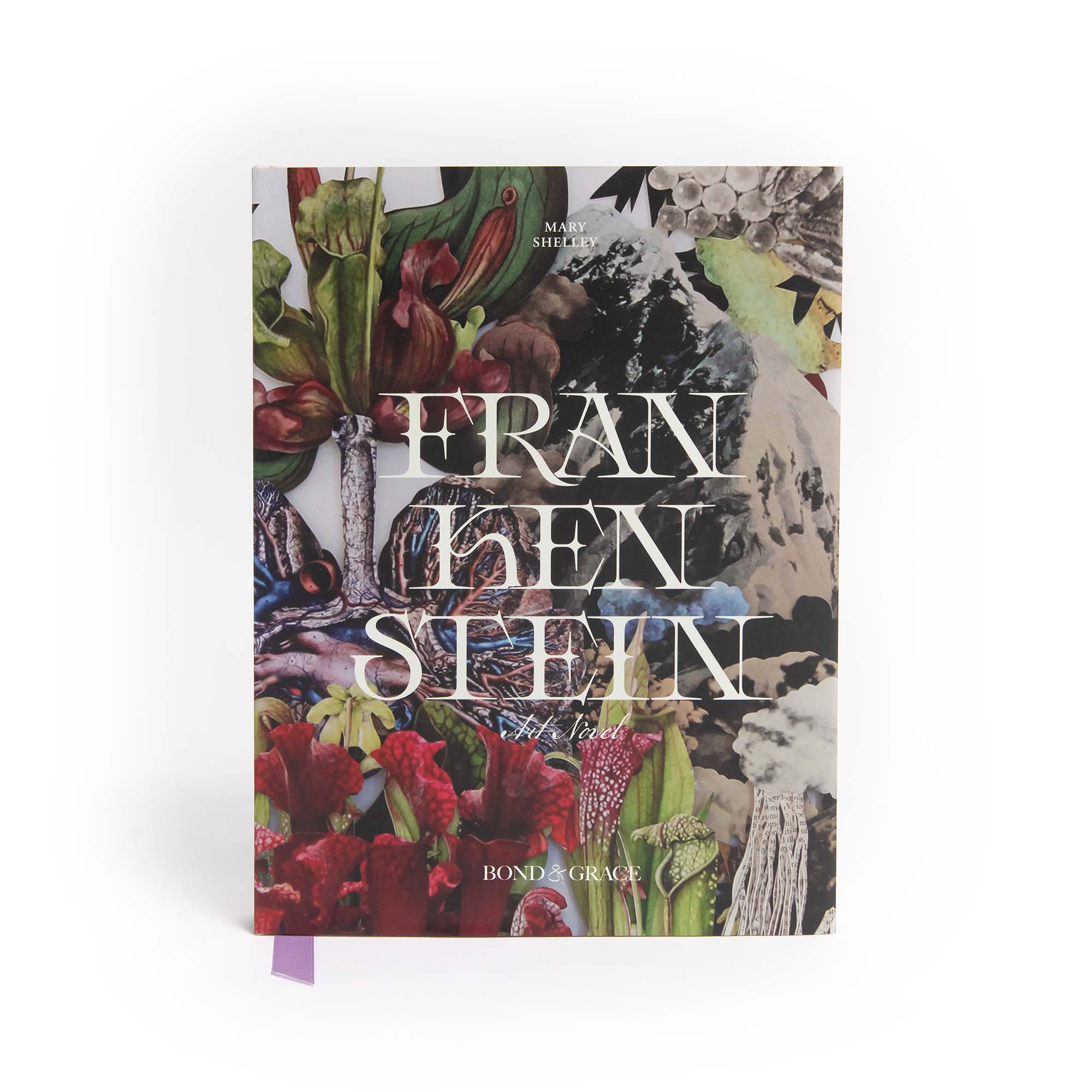 The Frankenstein Art Novel introduces readers to Mary Shelley’s haunting tale of life and death with an emphasis on nature and feminine power.