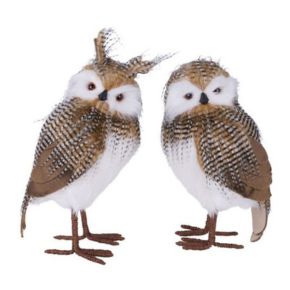 In a variety of sizes, shapes and colors