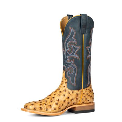 Saddle Ranch Ostrich Print - Blue Oklahoma