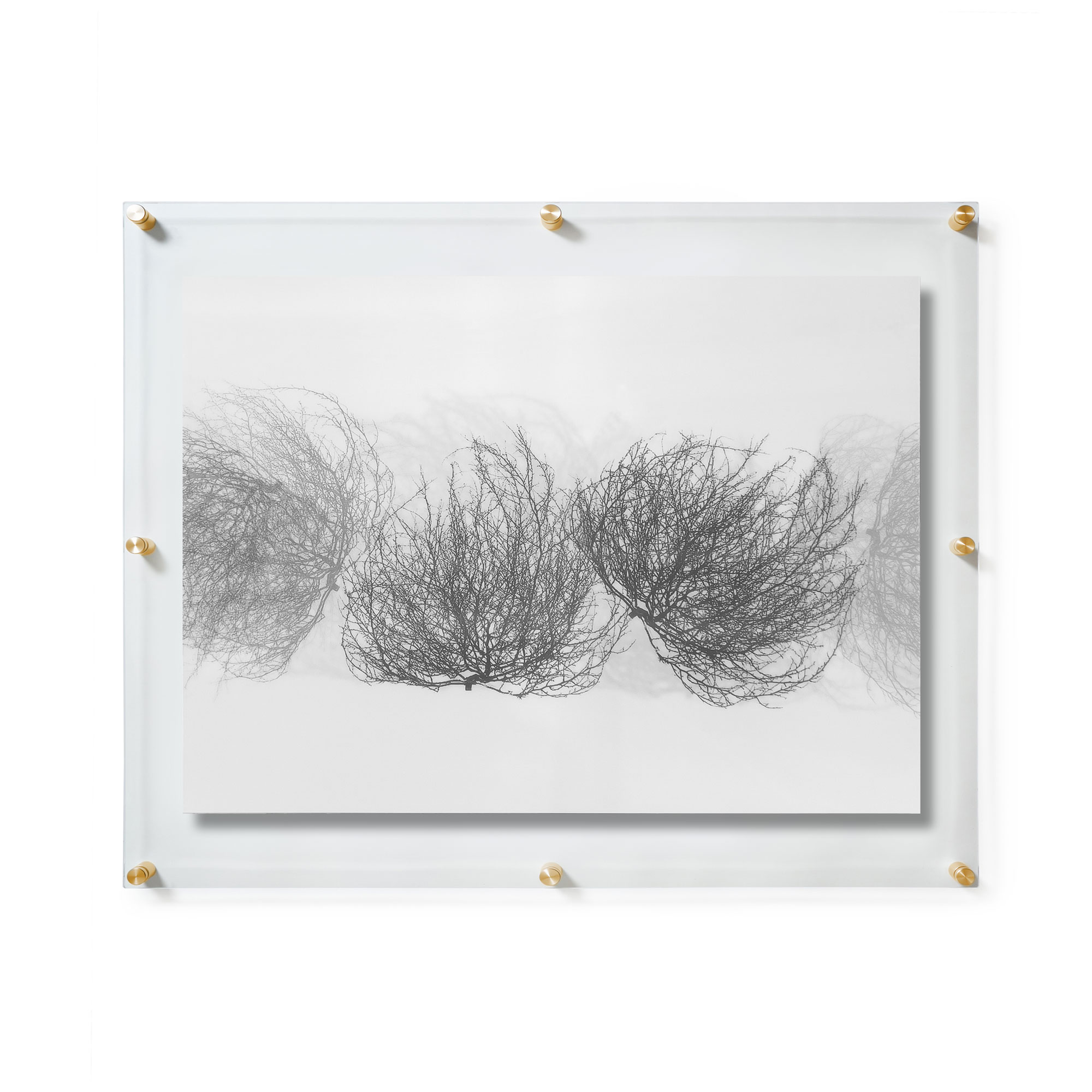 B. Shawn Cox's Cowboy's Dream captures a tumbleweed's motion in a lenticular print, blending vintage imagery with Wexel Art’s modern acrylic framing.