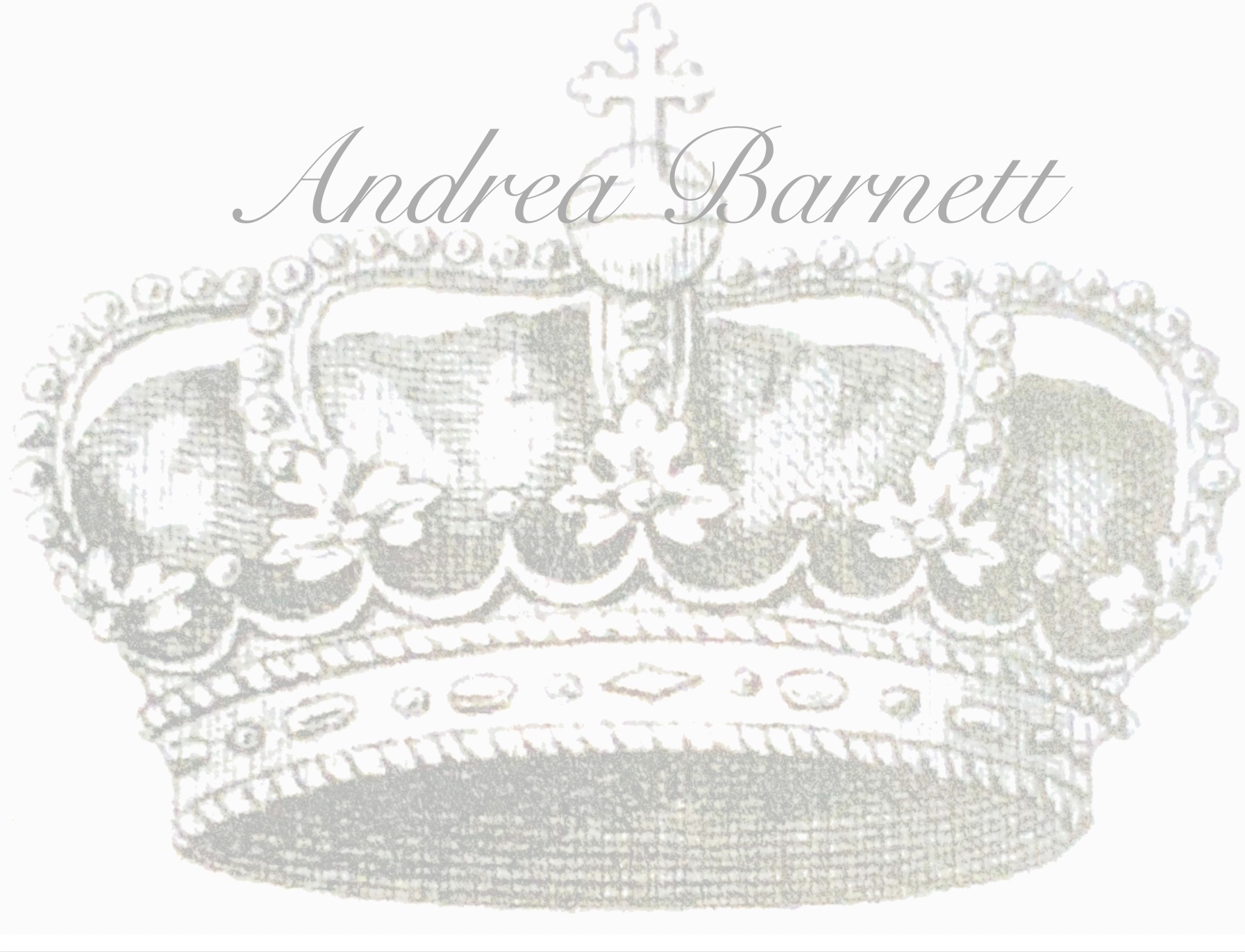 Andrea Barnett, Ltd. Jewelry  logo