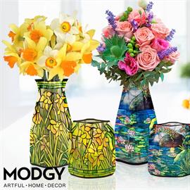 Modgy